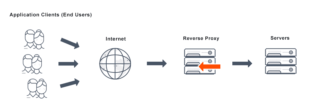 User via Internet through Reverse Proxy to your servers